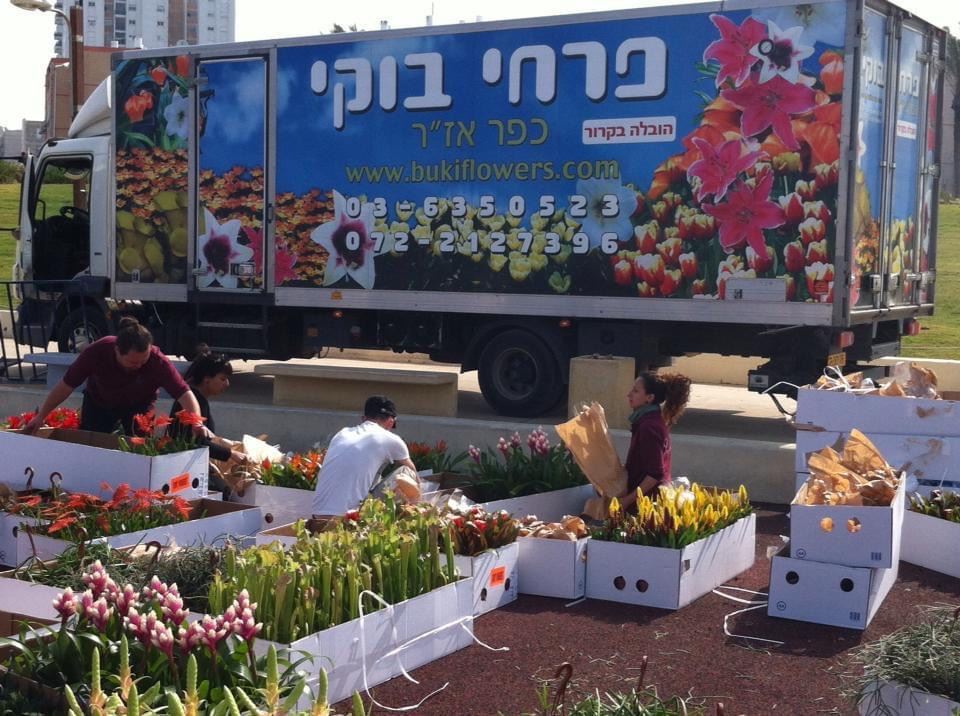 בוקי פרחים