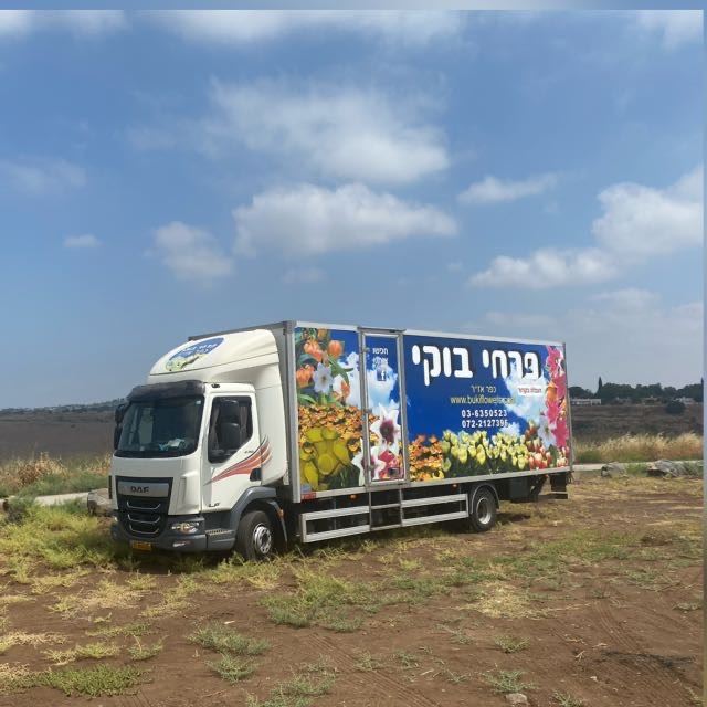 משלוחים בוקי פרחים