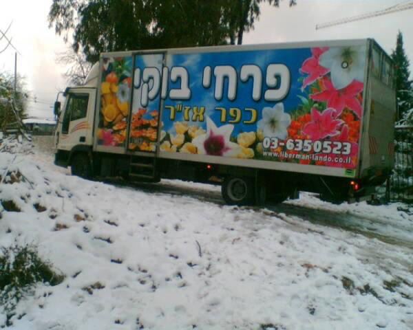 משלוחים בוקי פרחים